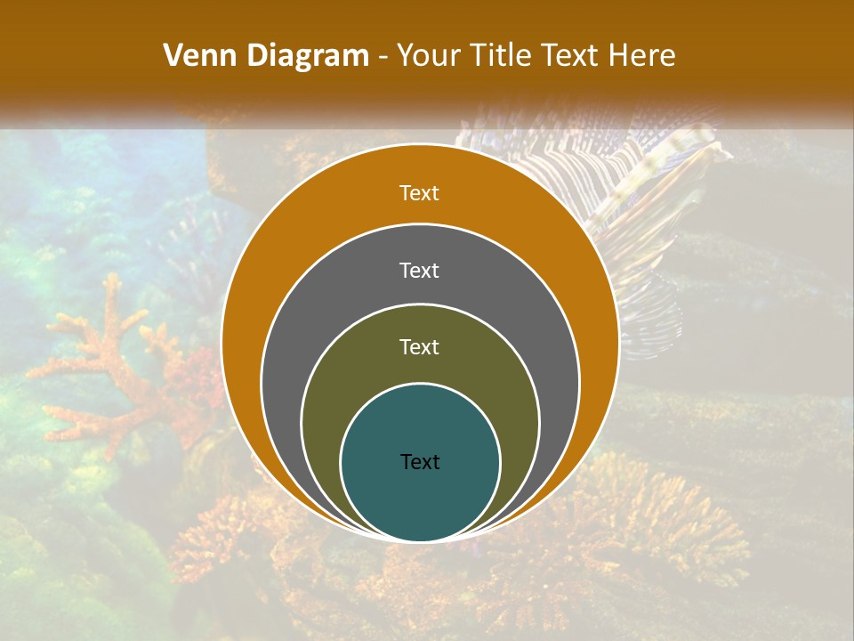 Unit Energy Part PowerPoint Template