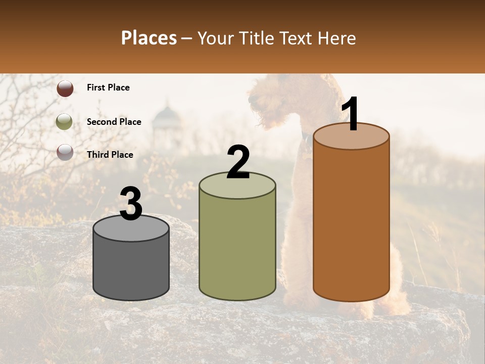 Conditioner Air Unit PowerPoint Template