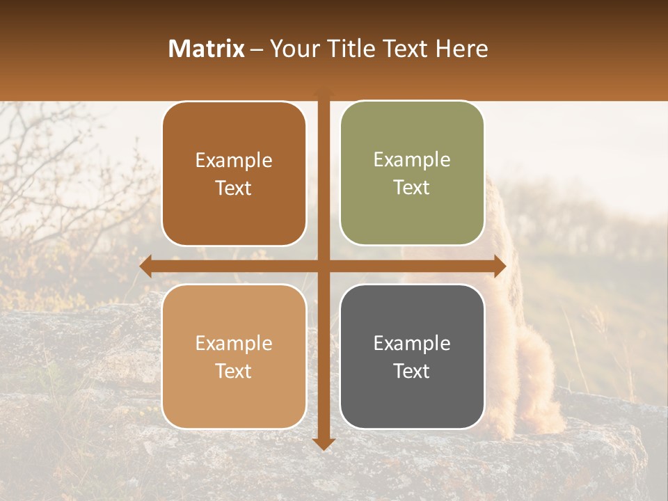Conditioner Air Unit PowerPoint Template