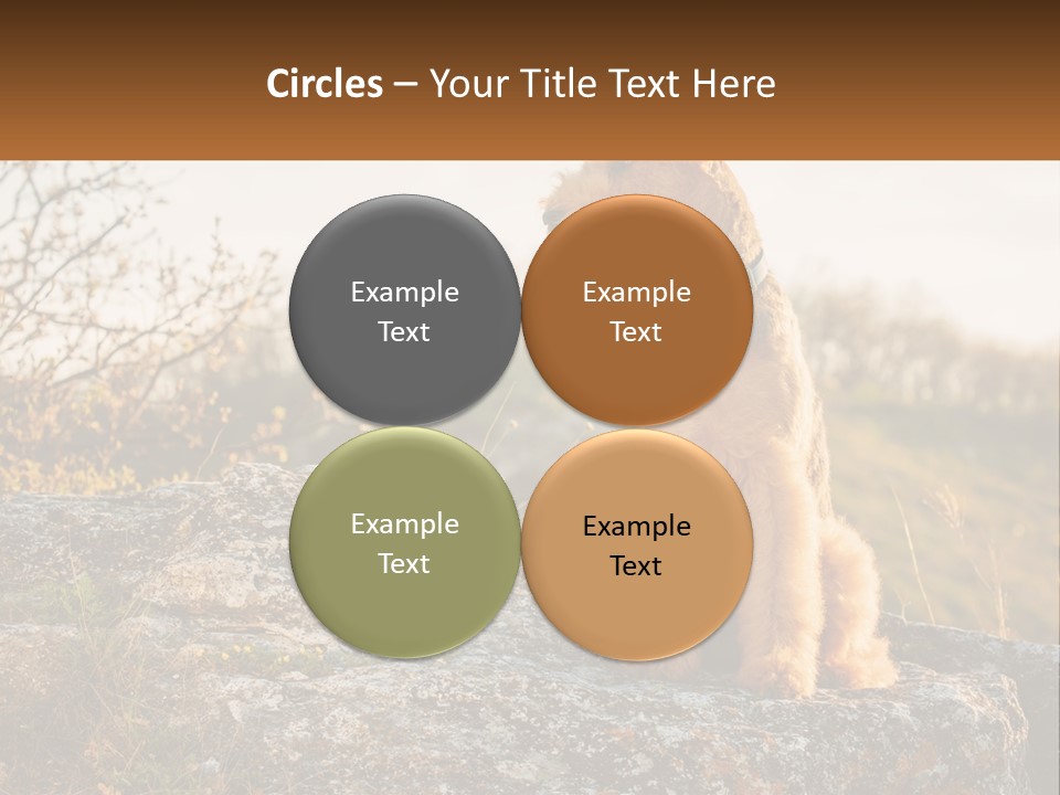 Conditioner Air Unit PowerPoint Template