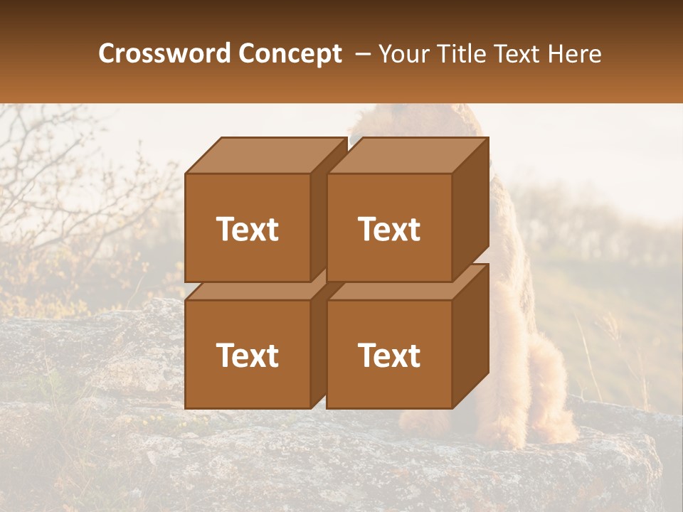 Conditioner Air Unit PowerPoint Template