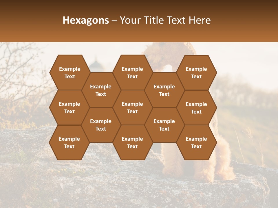 Conditioner Air Unit PowerPoint Template