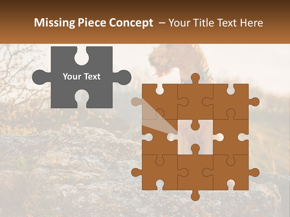 Conditioner Air Unit PowerPoint Template