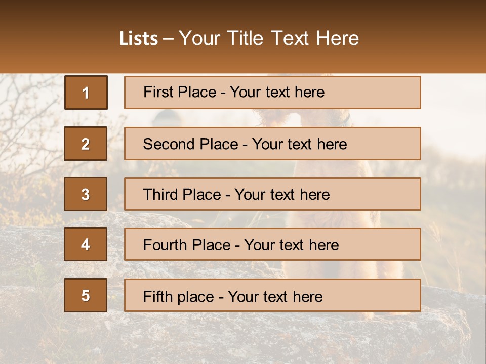 Conditioner Air Unit PowerPoint Template