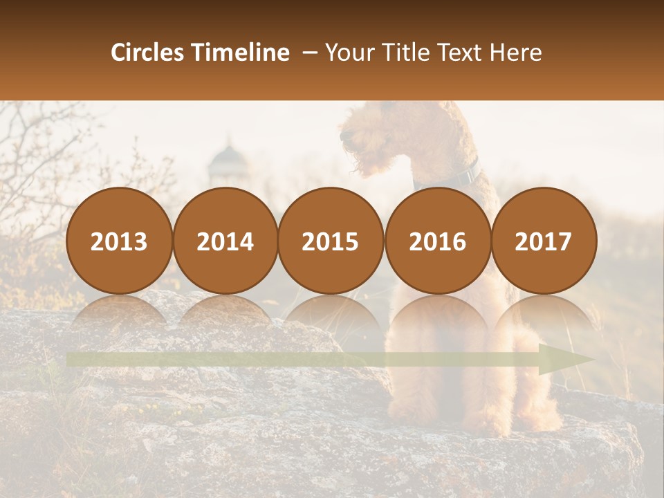 Conditioner Air Unit PowerPoint Template