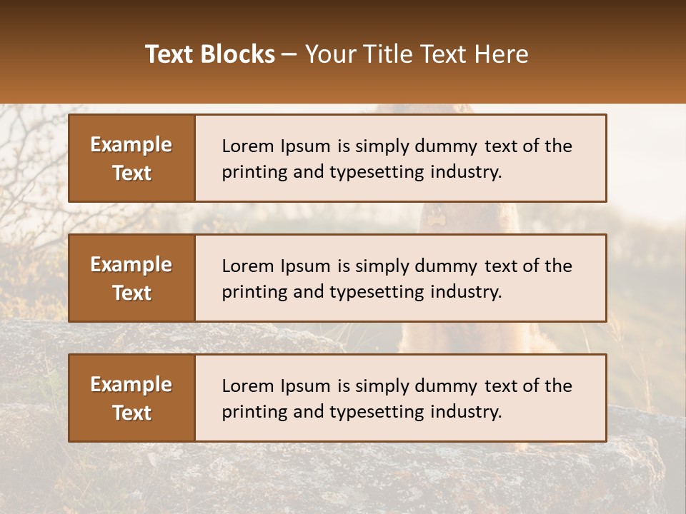 Conditioner Air Unit PowerPoint Template