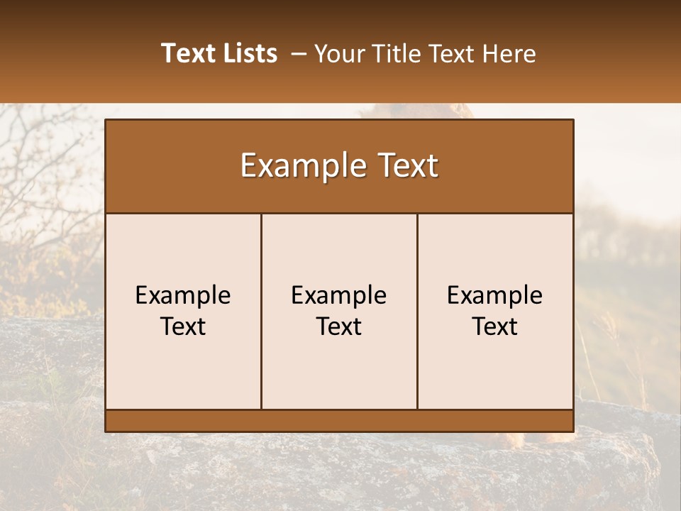 Conditioner Air Unit PowerPoint Template