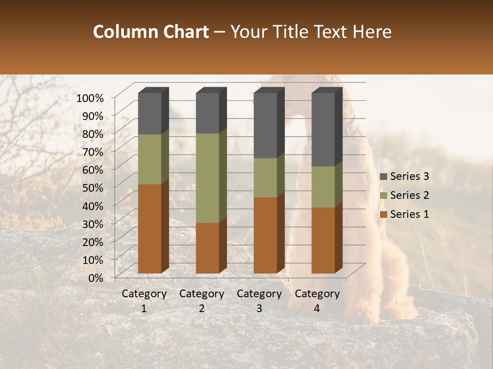 Conditioner Air Unit PowerPoint Template