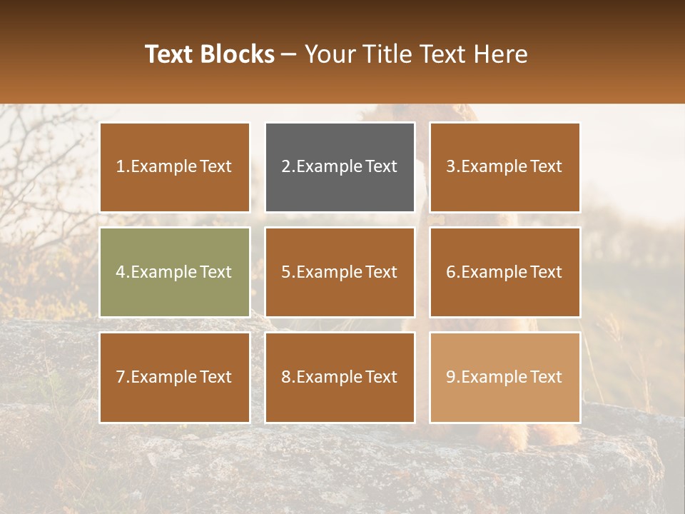 Conditioner Air Unit PowerPoint Template