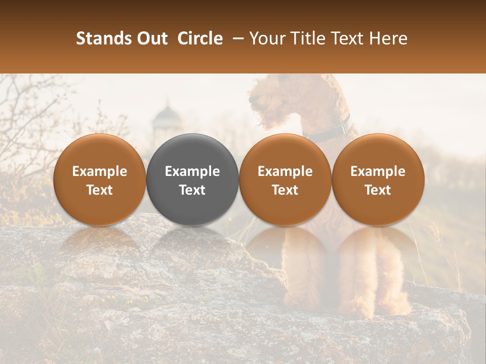 Conditioner Air Unit PowerPoint Template