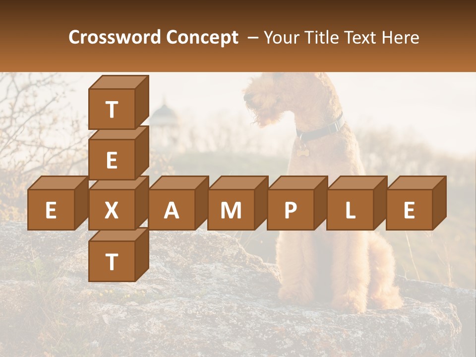 Conditioner Air Unit PowerPoint Template