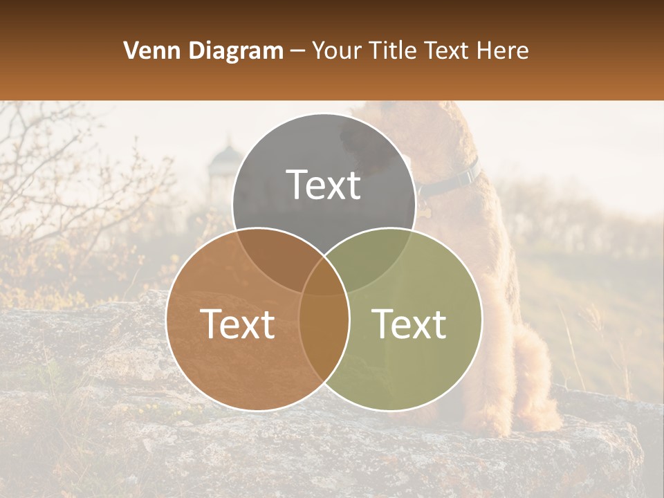 Conditioner Air Unit PowerPoint Template