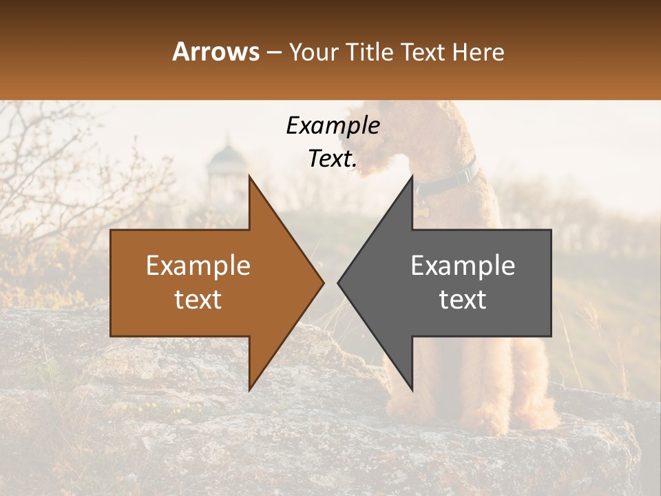 Conditioner Air Unit PowerPoint Template