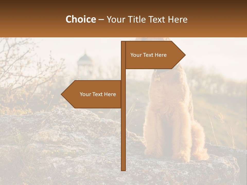 Conditioner Air Unit PowerPoint Template