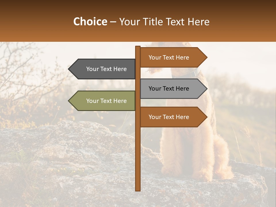 Conditioner Air Unit PowerPoint Template