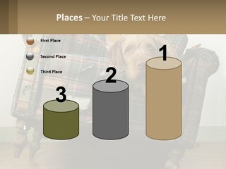 House Part Ventilation PowerPoint Template