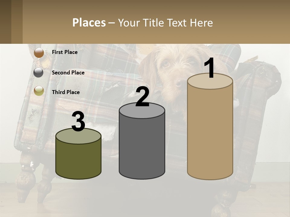House Part Ventilation PowerPoint Template