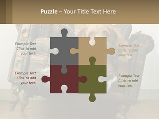 House Part Ventilation PowerPoint Template