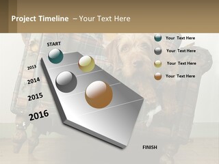 House Part Ventilation PowerPoint Template