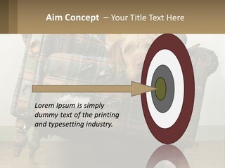 House Part Ventilation PowerPoint Template