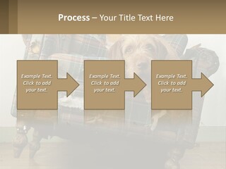 House Part Ventilation PowerPoint Template