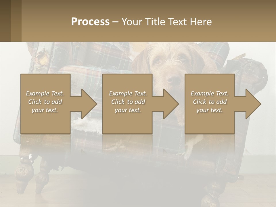 House Part Ventilation PowerPoint Template