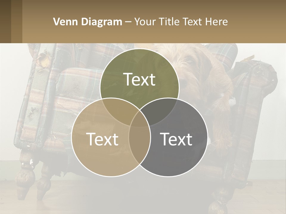 House Part Ventilation PowerPoint Template