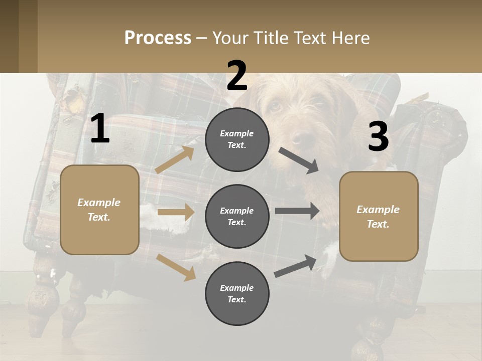 House Part Ventilation PowerPoint Template
