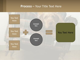 House Part Ventilation PowerPoint Template