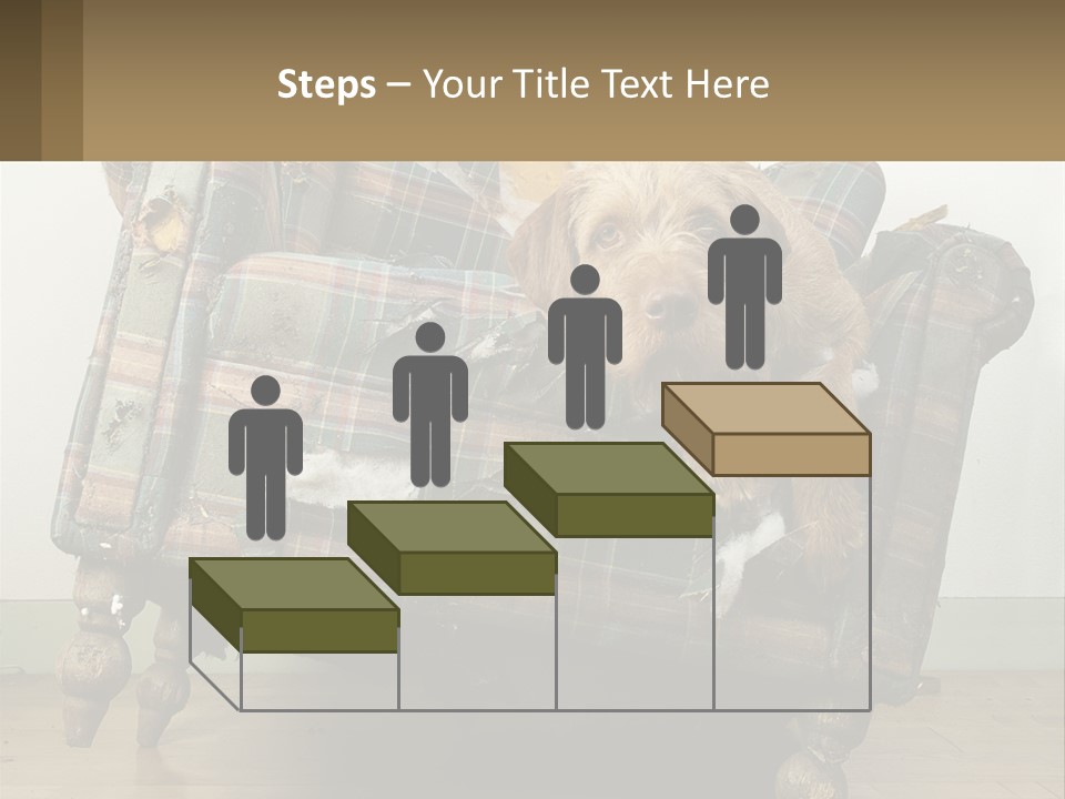 House Part Ventilation PowerPoint Template