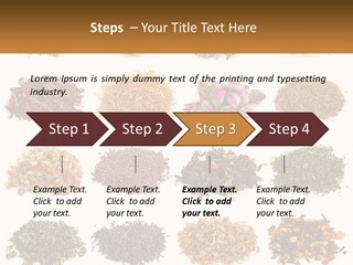 Supply Equipment White PowerPoint Template