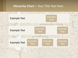 Temperature Industry Technology PowerPoint Template