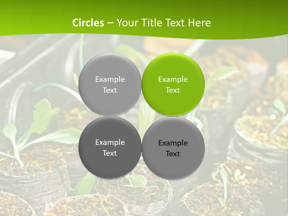 Condition Switch Cold PowerPoint Template