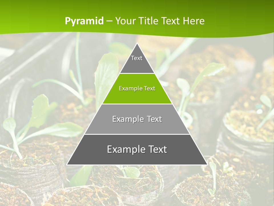 Condition Switch Cold PowerPoint Template