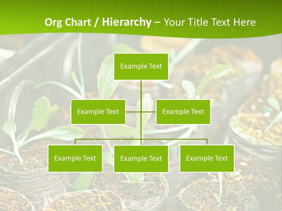 Condition Switch Cold PowerPoint Template