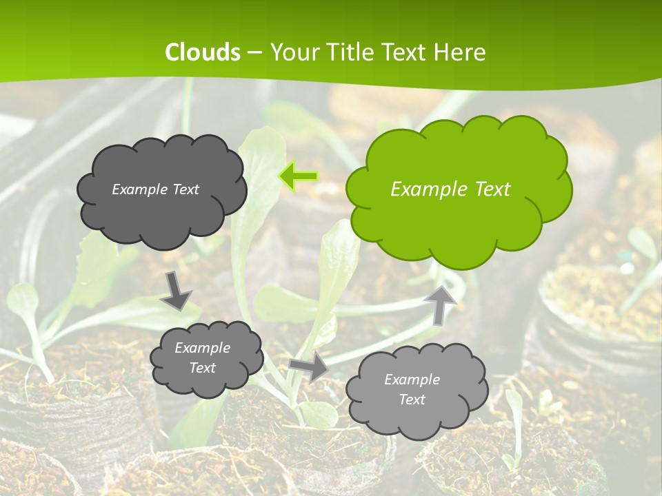 Condition Switch Cold PowerPoint Template
