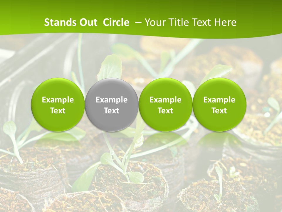 Condition Switch Cold PowerPoint Template