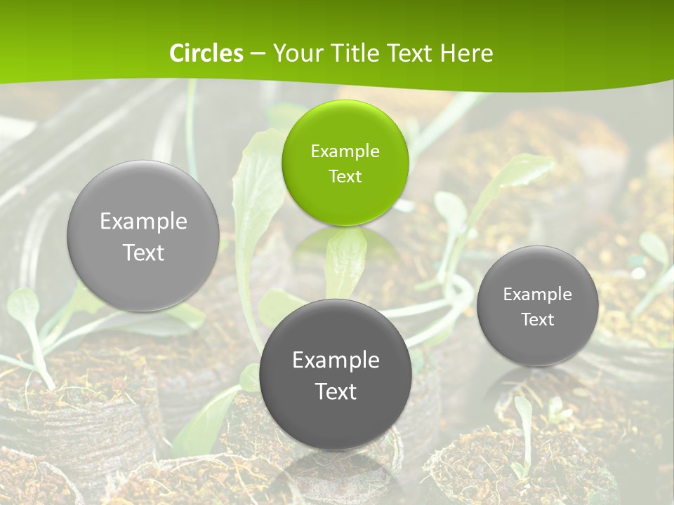 Condition Switch Cold PowerPoint Template