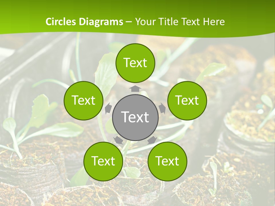 Condition Switch Cold PowerPoint Template