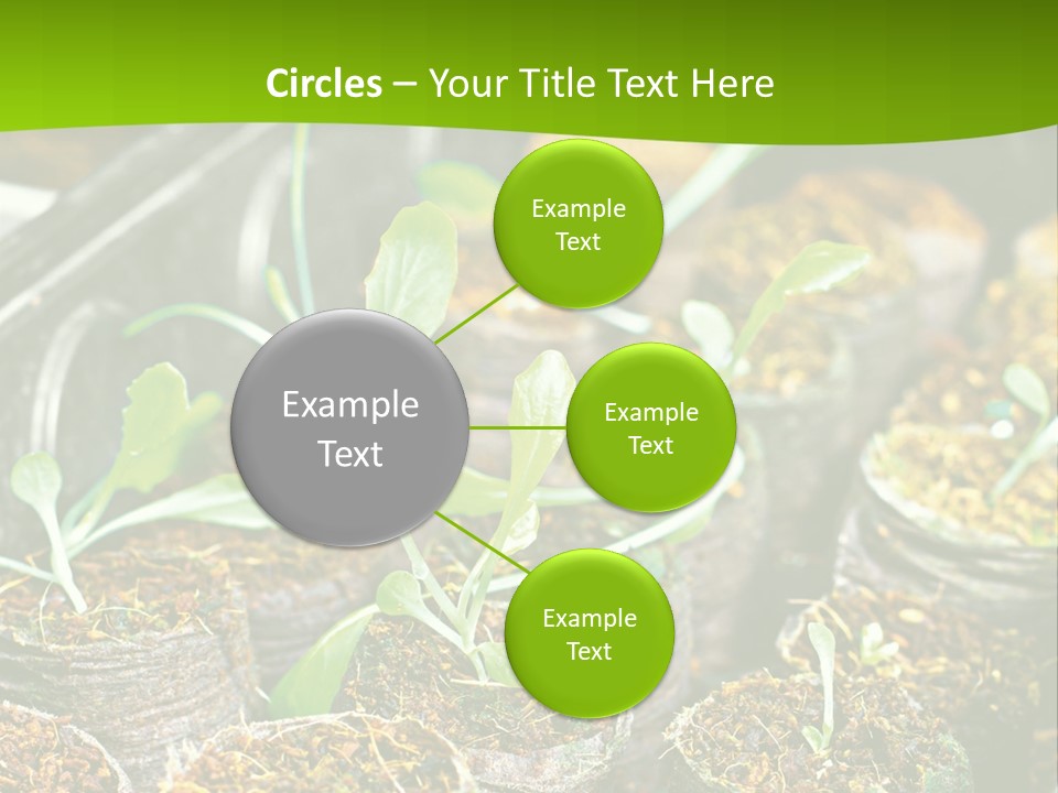 Condition Switch Cold PowerPoint Template