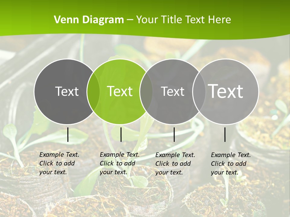 Condition Switch Cold PowerPoint Template