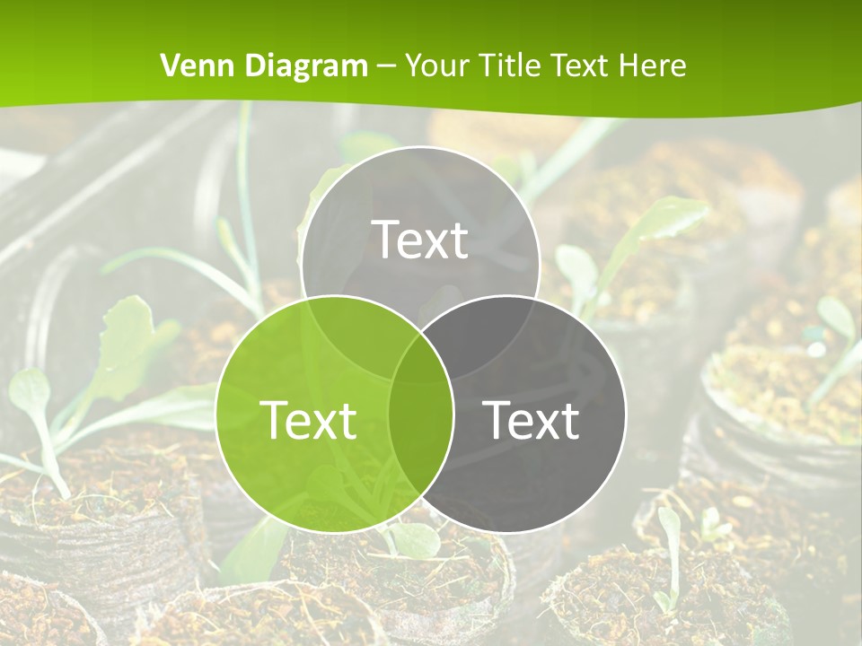 Condition Switch Cold PowerPoint Template