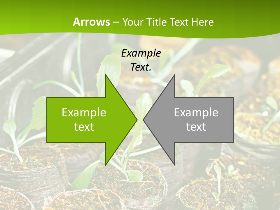 Condition Switch Cold PowerPoint Template