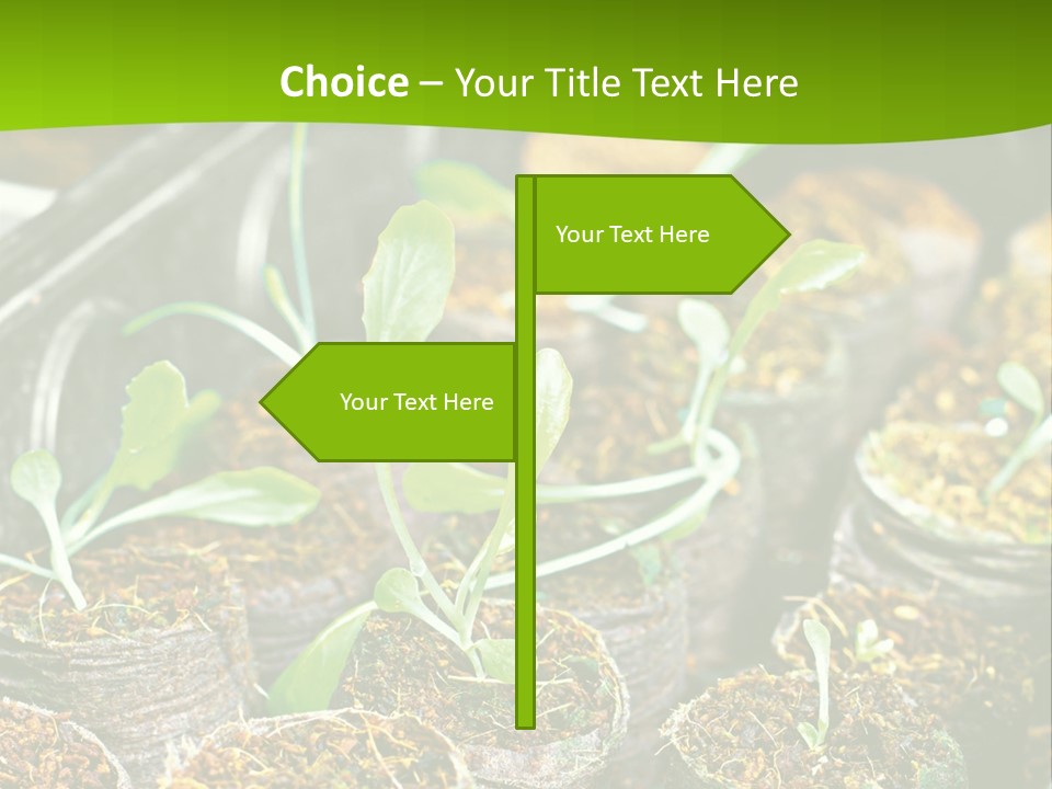 Condition Switch Cold PowerPoint Template