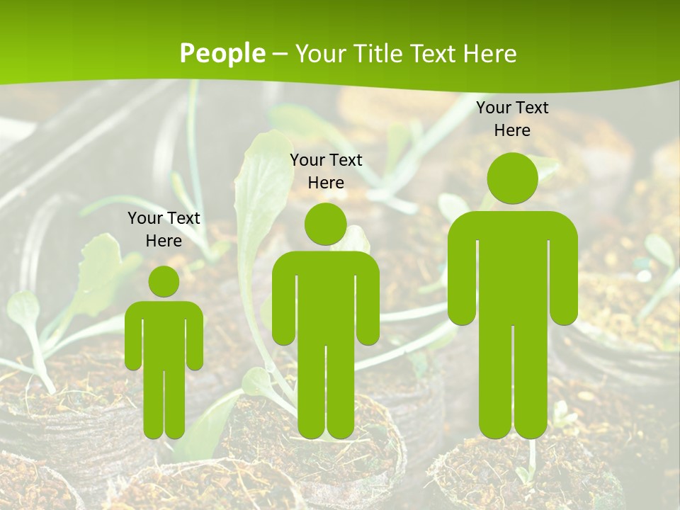 Condition Switch Cold PowerPoint Template