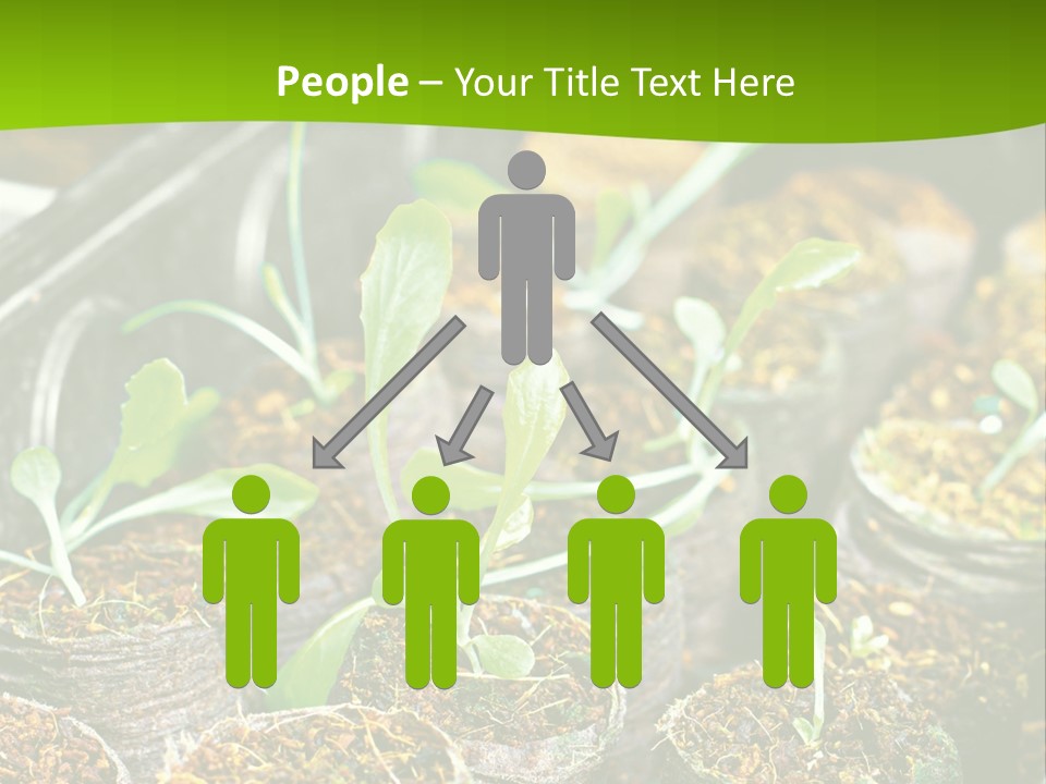 Condition Switch Cold PowerPoint Template