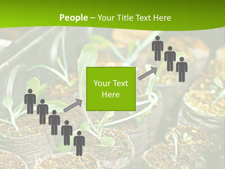 Condition Switch Cold PowerPoint Template