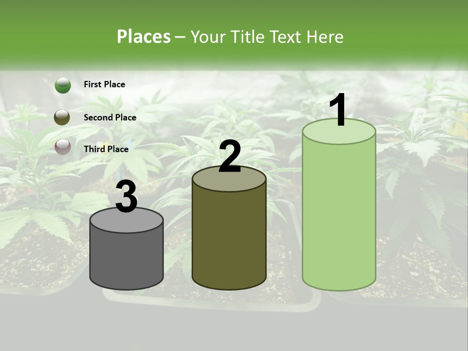 Part Home Heat PowerPoint Template