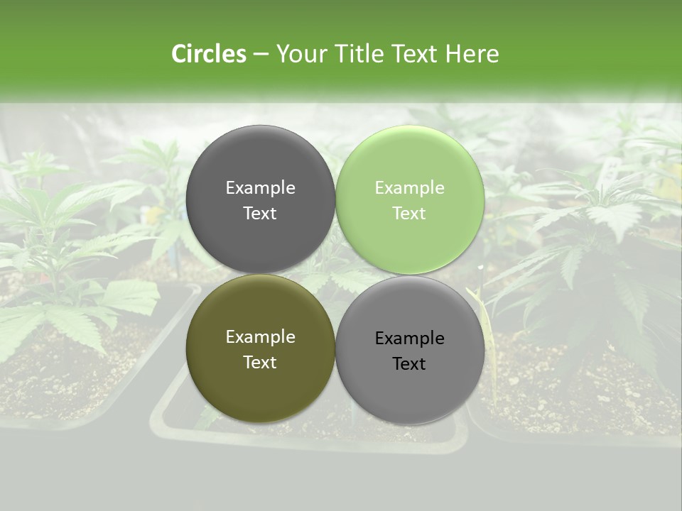 Part Home Heat PowerPoint Template