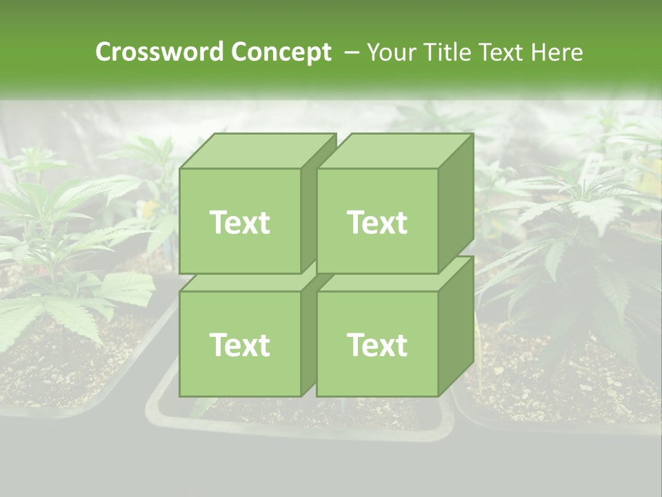 Part Home Heat PowerPoint Template